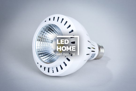 Żarówka LED Par30 – 20W