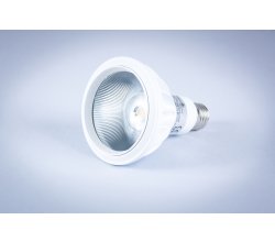 Żarówka LED Par20 – 230V - 12W