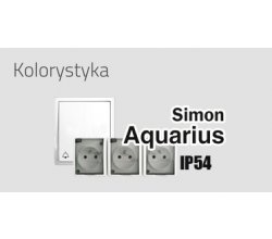 Simon Aquarius